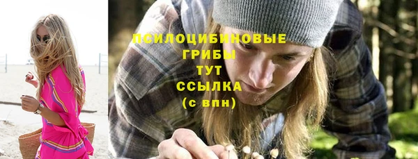 Альфа ПВП Богородск