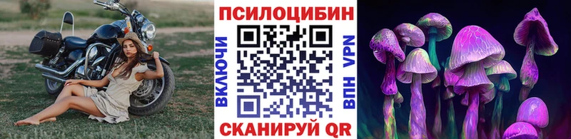 хочу наркоту  ОМГ ОМГ вход  Псилоцибиновые грибы мицелий  Заречный 